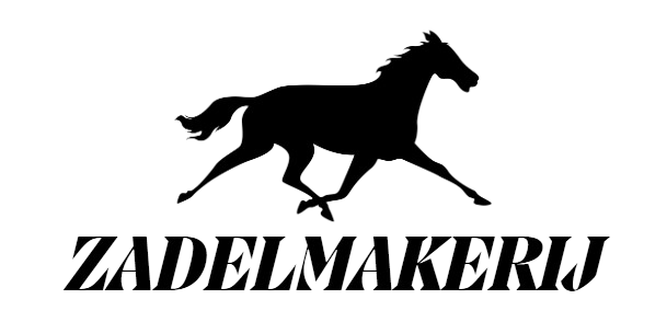 Uitrusting Voor Paardrijden