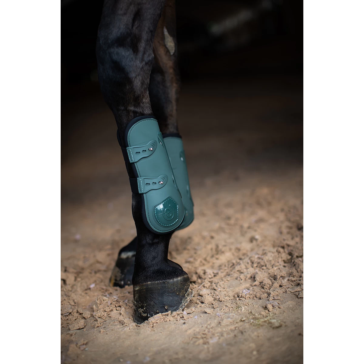 Beenbeschermers Equestrian Stockholm Anatomic Sycamore Green Groen - Afbeelding 2