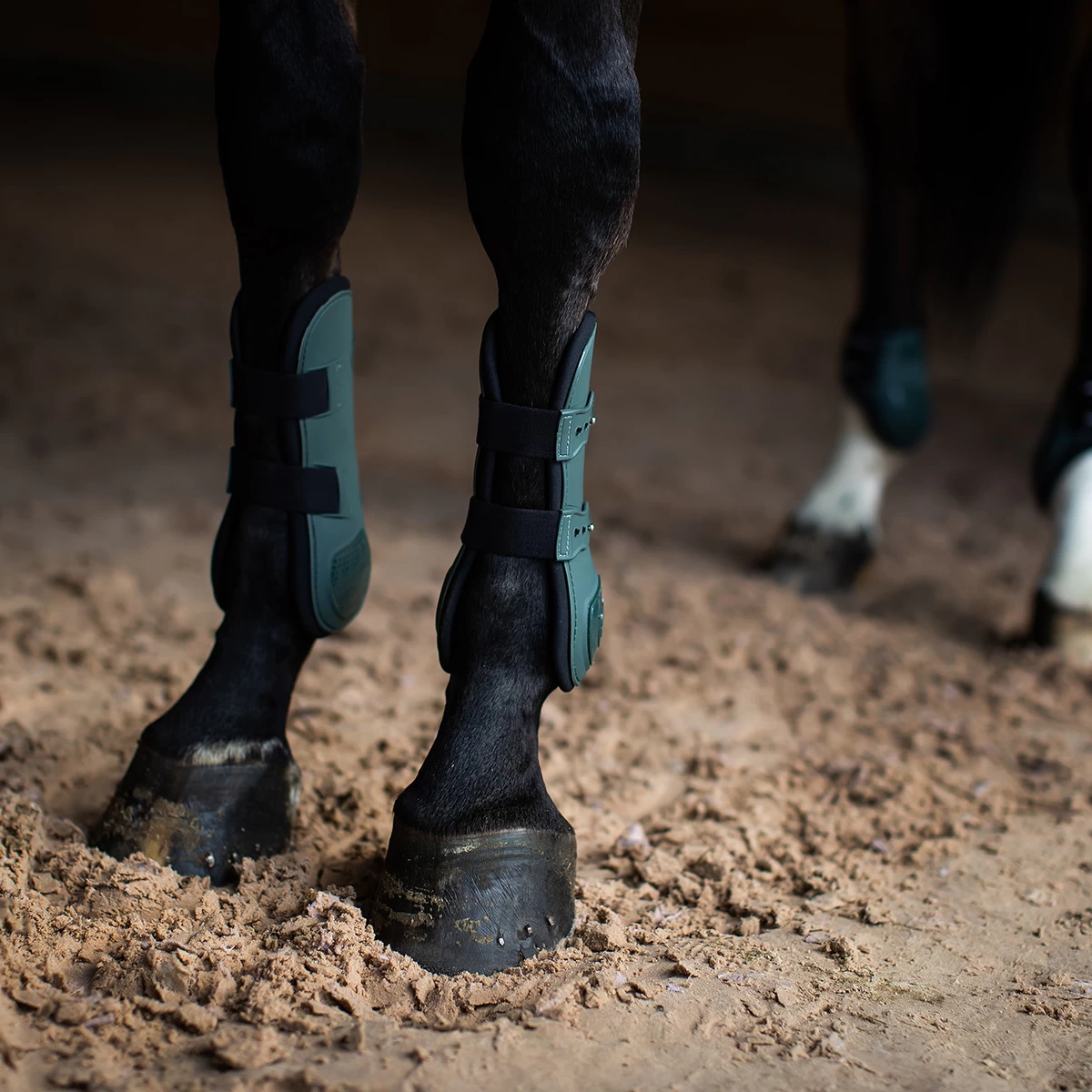 Beenbeschermers Equestrian Stockholm Anatomic Sycamore Green Groen - Afbeelding 4