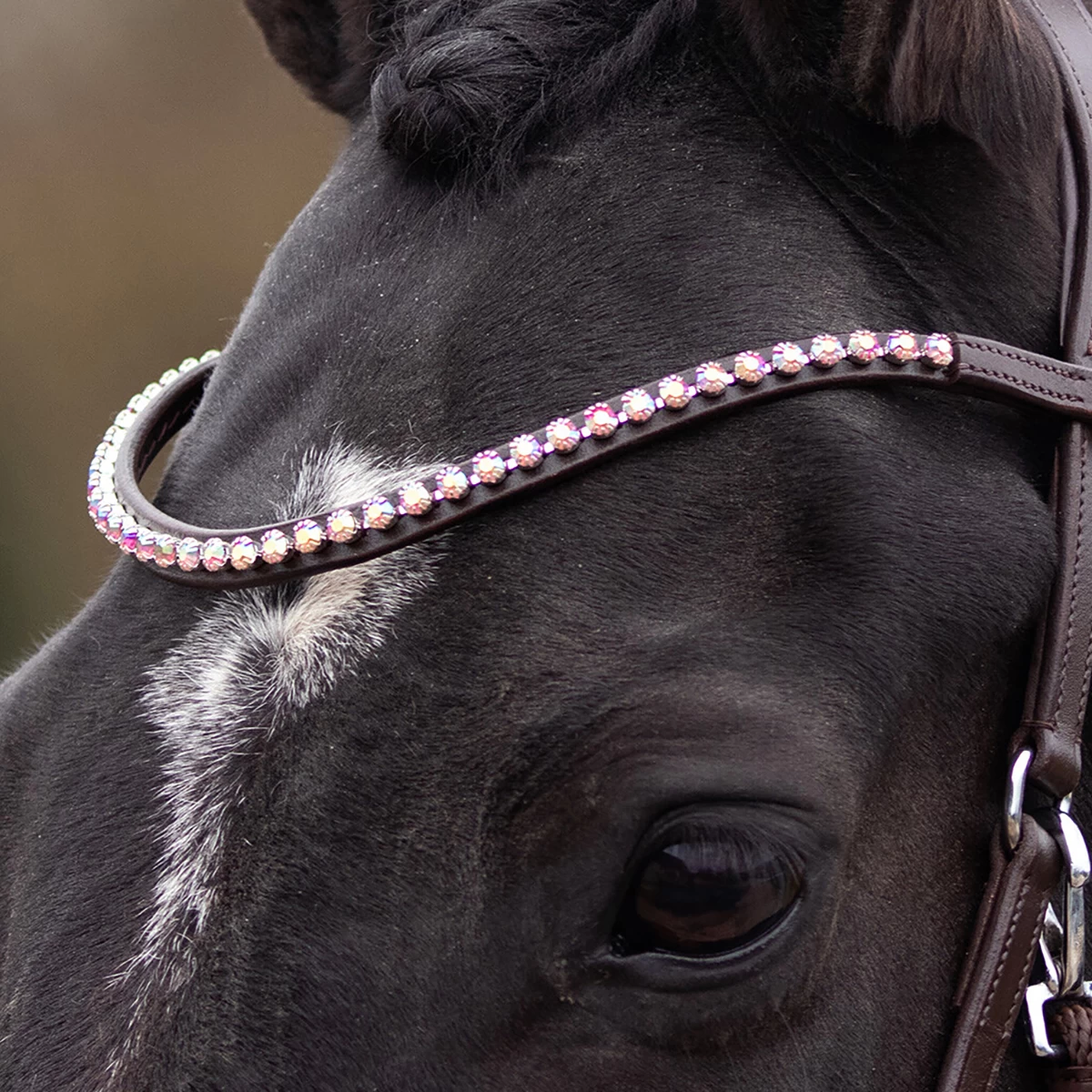 Bitloos Hoofdstel QHP Sunna Donkerbruin - Afbeelding 3