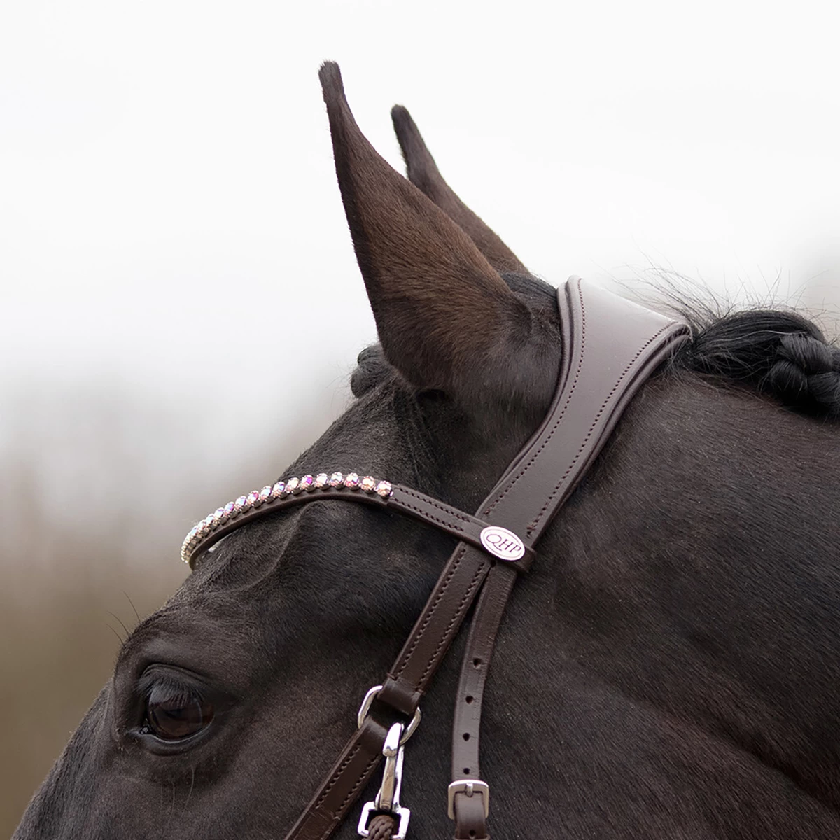 Bitloos Hoofdstel QHP Sunna Donkerbruin - Afbeelding 4