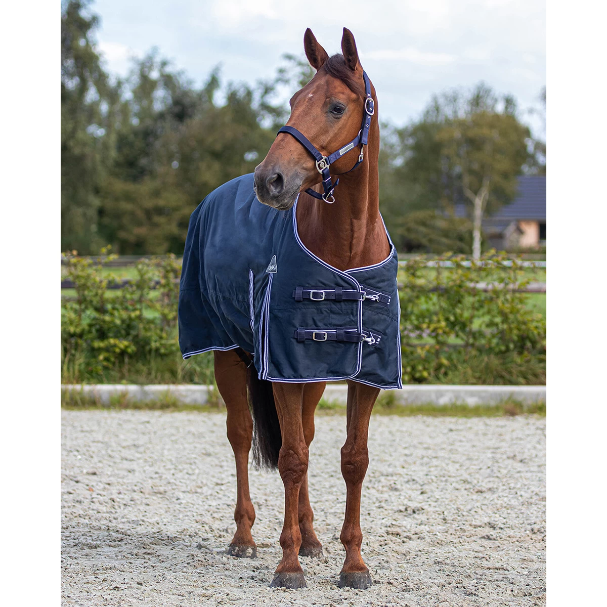 Deken QHP Turnout Luxe Fleece Donkerblauw - Afbeelding 5