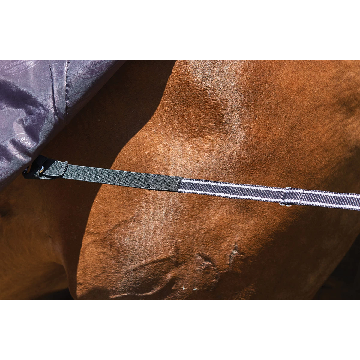 Deken WeatherBeeta ComFiTec Plus Dynamic 100gr Paars-zwart - Afbeelding 7