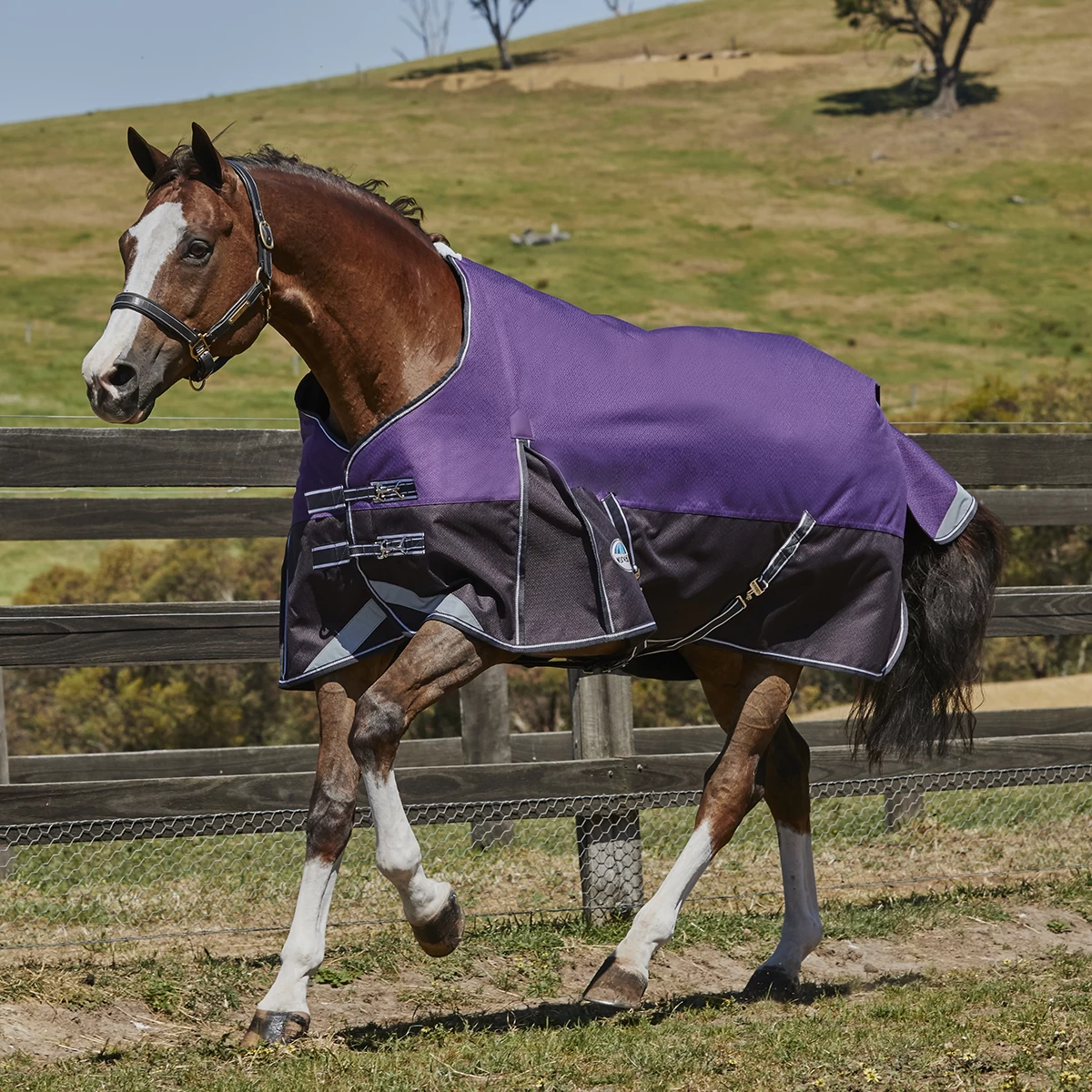 Deken WeatherBeeta ComFiTec Plus Dynamic 100gr Paars-zwart - Afbeelding 9