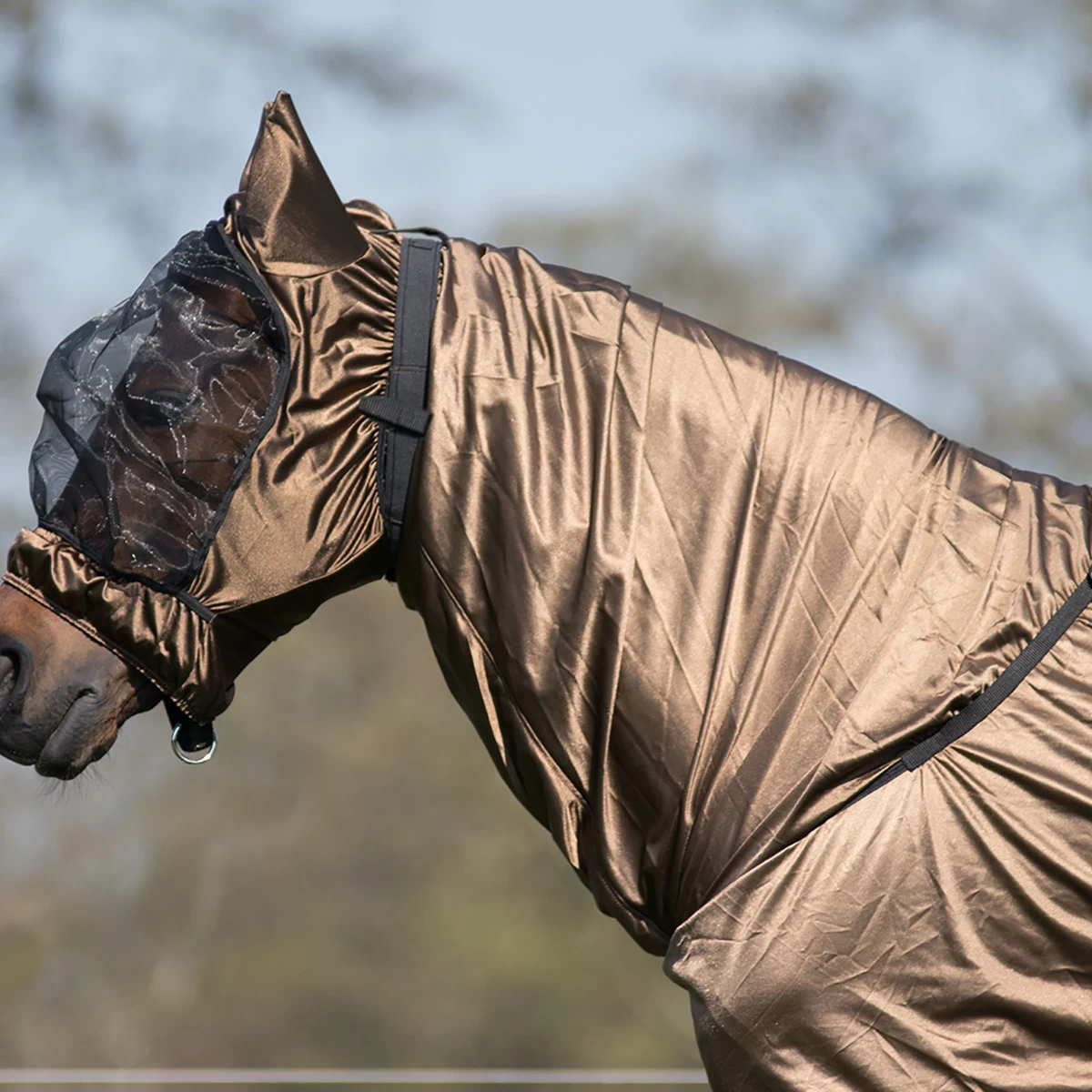 Eczeem Masker QHP Bruin