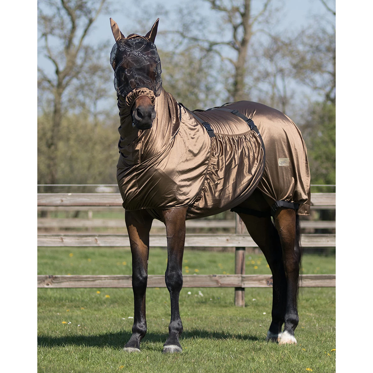 Eczeem Masker QHP Bruin - Afbeelding 2