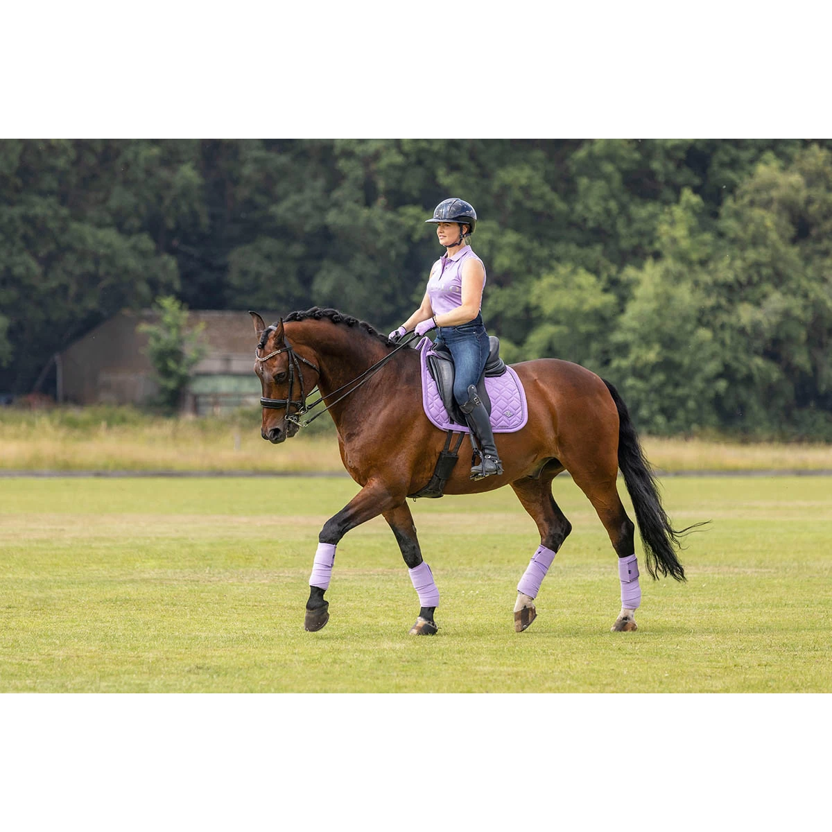 Polo HV POLO HVPFavouritas Mouwloos Paars - Afbeelding 8