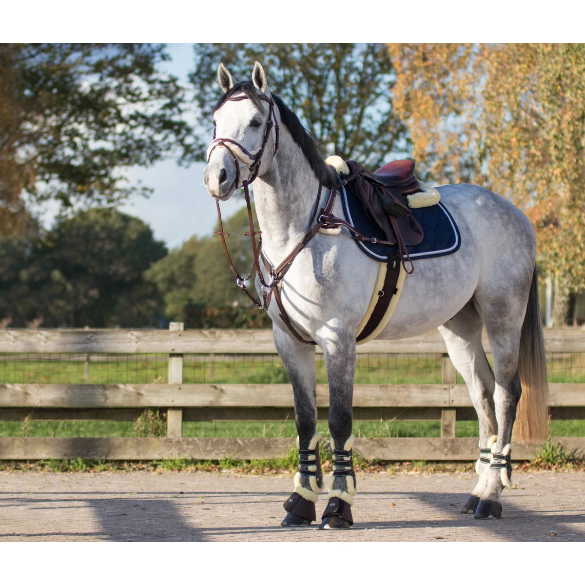 Singel QHP Ontario Bruin - Afbeelding 4