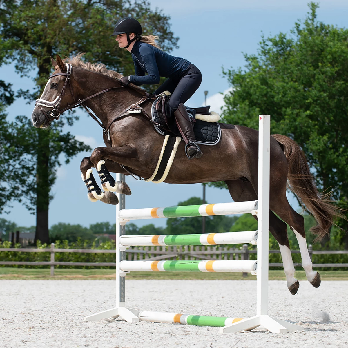 Singel QHP Ontario Bruin - Afbeelding 5