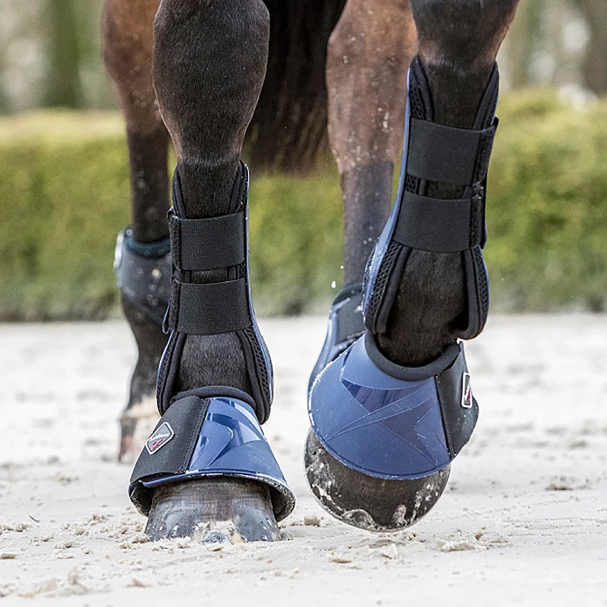 Springschoenen LeMieux Proshell Zwart - Afbeelding 3