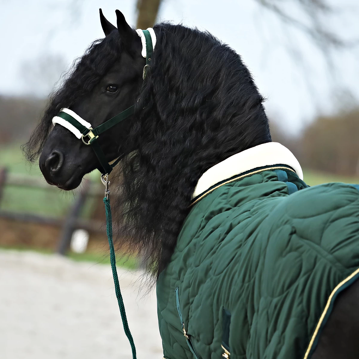 Staldeken Friesian Horse By Horsegear 160gr Donkergroen - Afbeelding 3