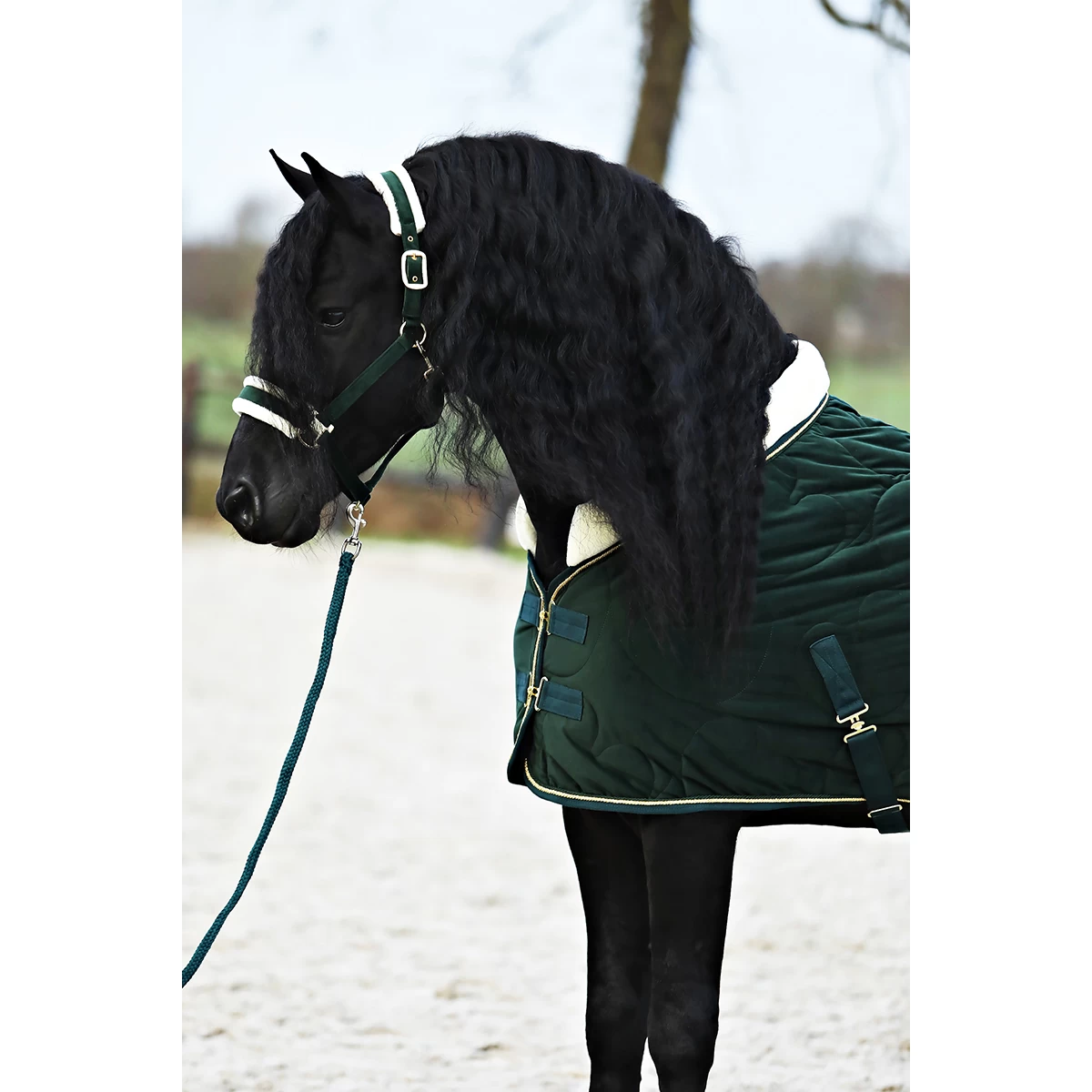 Staldeken Friesian Horse By Horsegear 160gr Donkergroen - Afbeelding 4