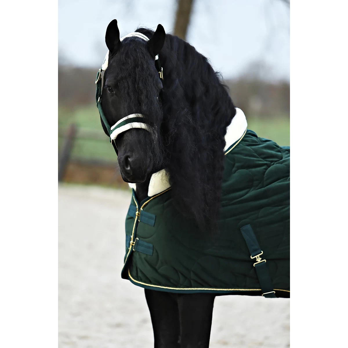 Staldeken Friesian Horse By Horsegear 160gr Donkergroen - Afbeelding 5