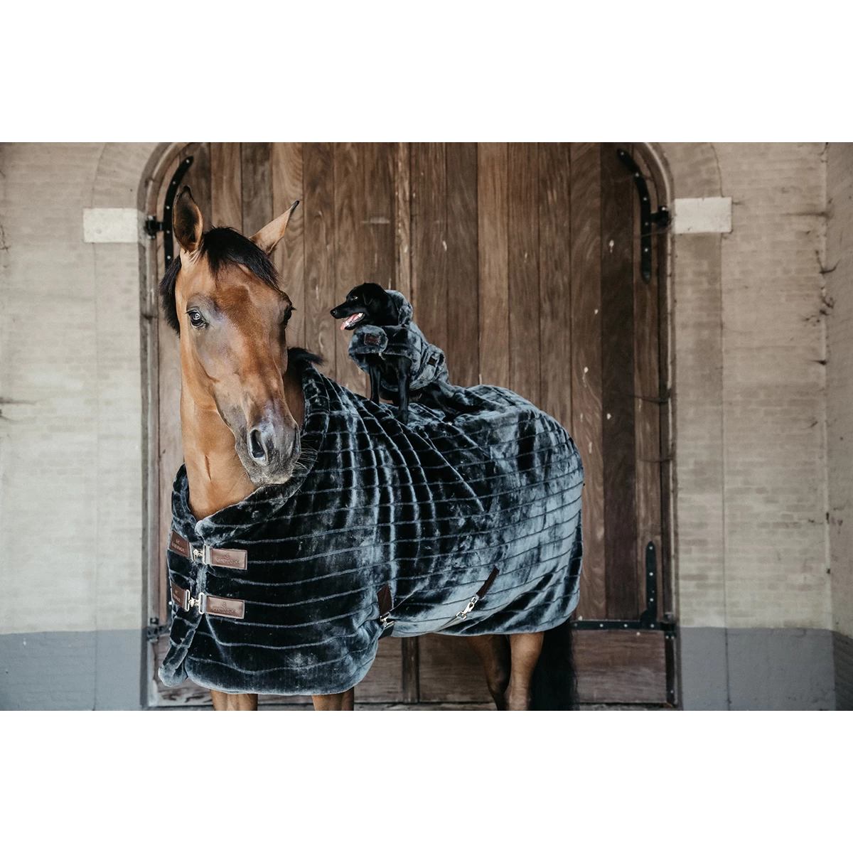 Staldeken Kentucky Fake Fur Donkergrijs - Afbeelding 4