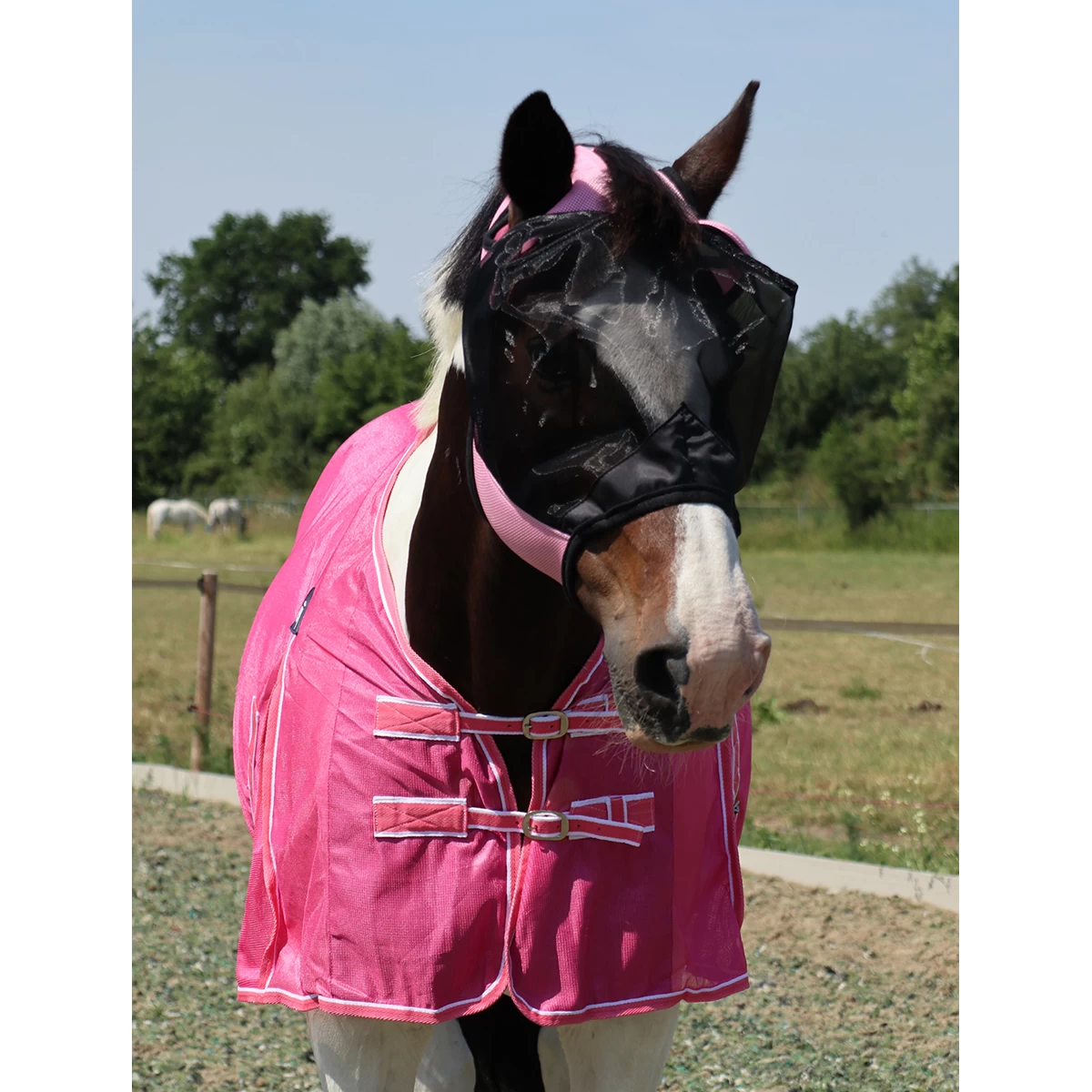 Vliegenmasker Horsegear Zonder Oren En Neus Roze - Afbeelding 4