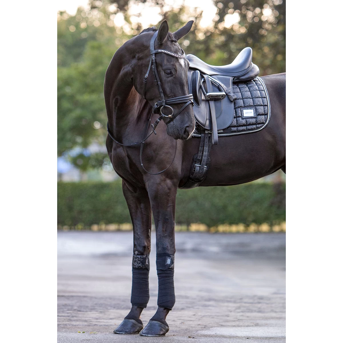 Zadeldek HB Showtime Lake View Zwart - Afbeelding 4