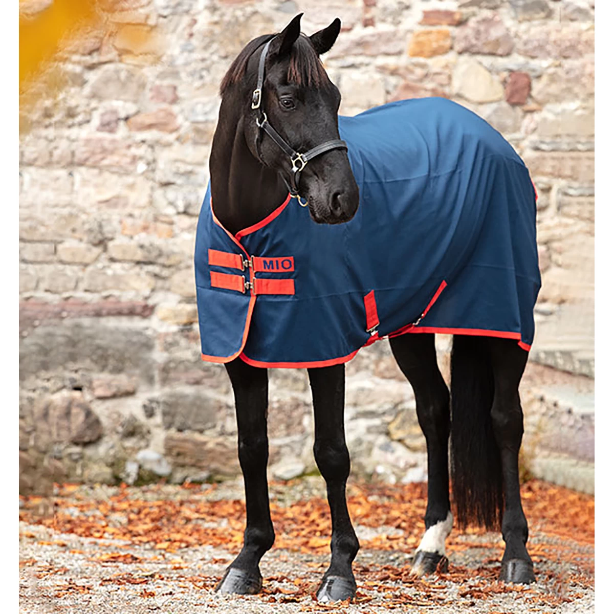 Zomerdeken Horseware Mio Stable Donkerblauw-rood - Afbeelding 3